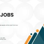 ngo jobs 2025